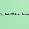 SAA-C03 Exam dumps