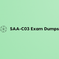 SAA-C03 Exam dumps