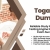 Togaf 10 Dumps